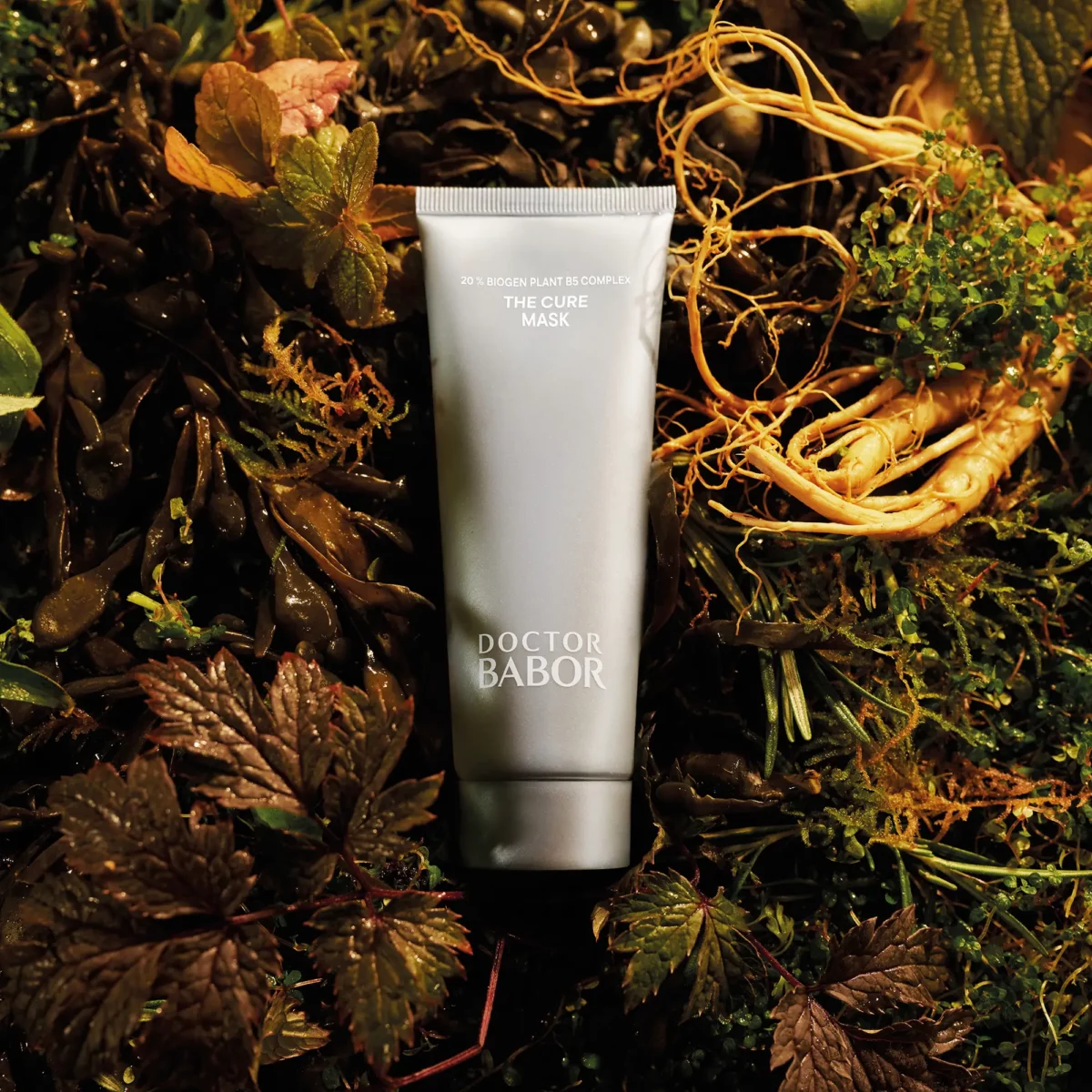 BABOR The Cure Mask liegt zwischen Ginsengwurzeln, Kräutern und Herbstlaub, Tube von oben fotografiert